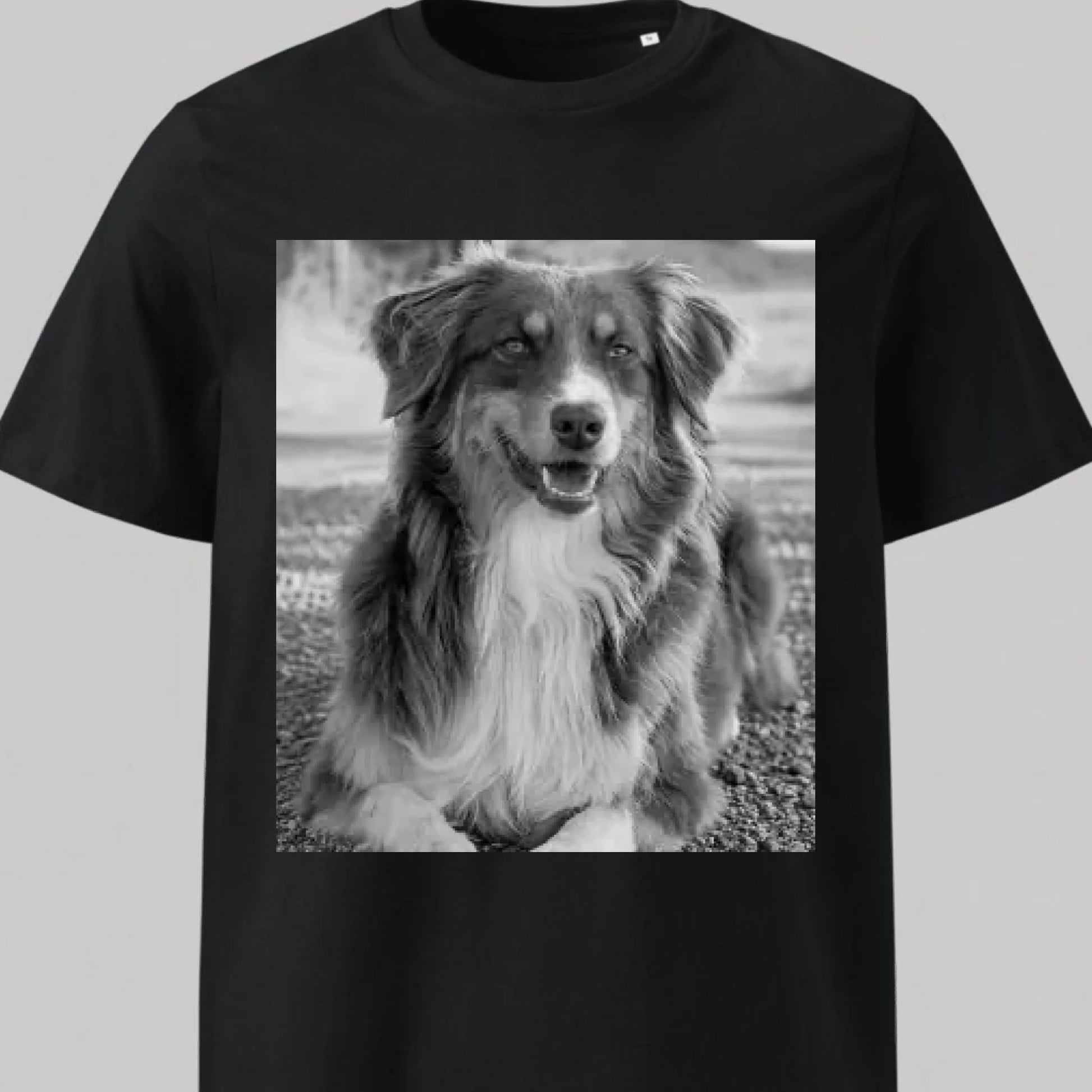 STTU169_Black_N