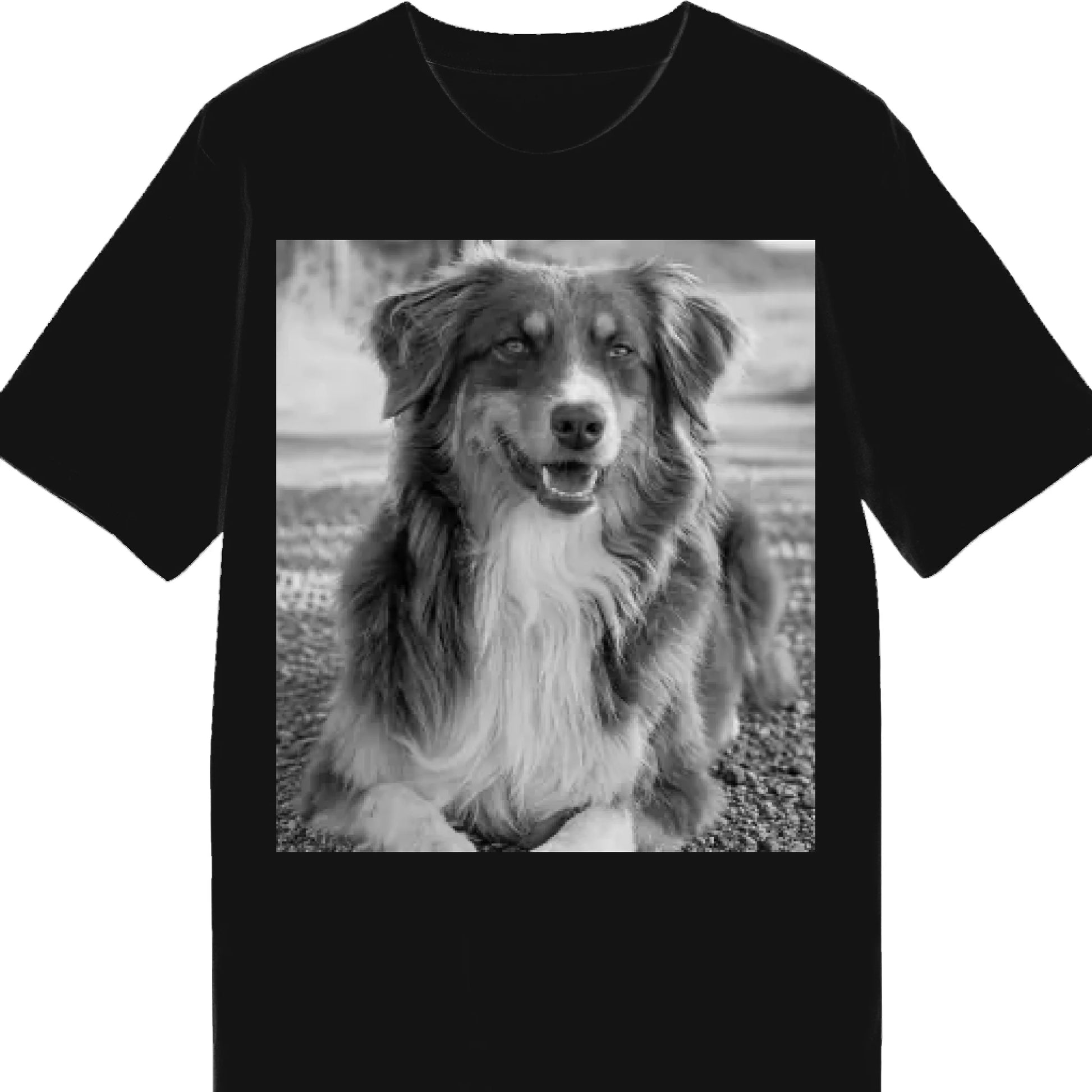 STTU169_Black_N