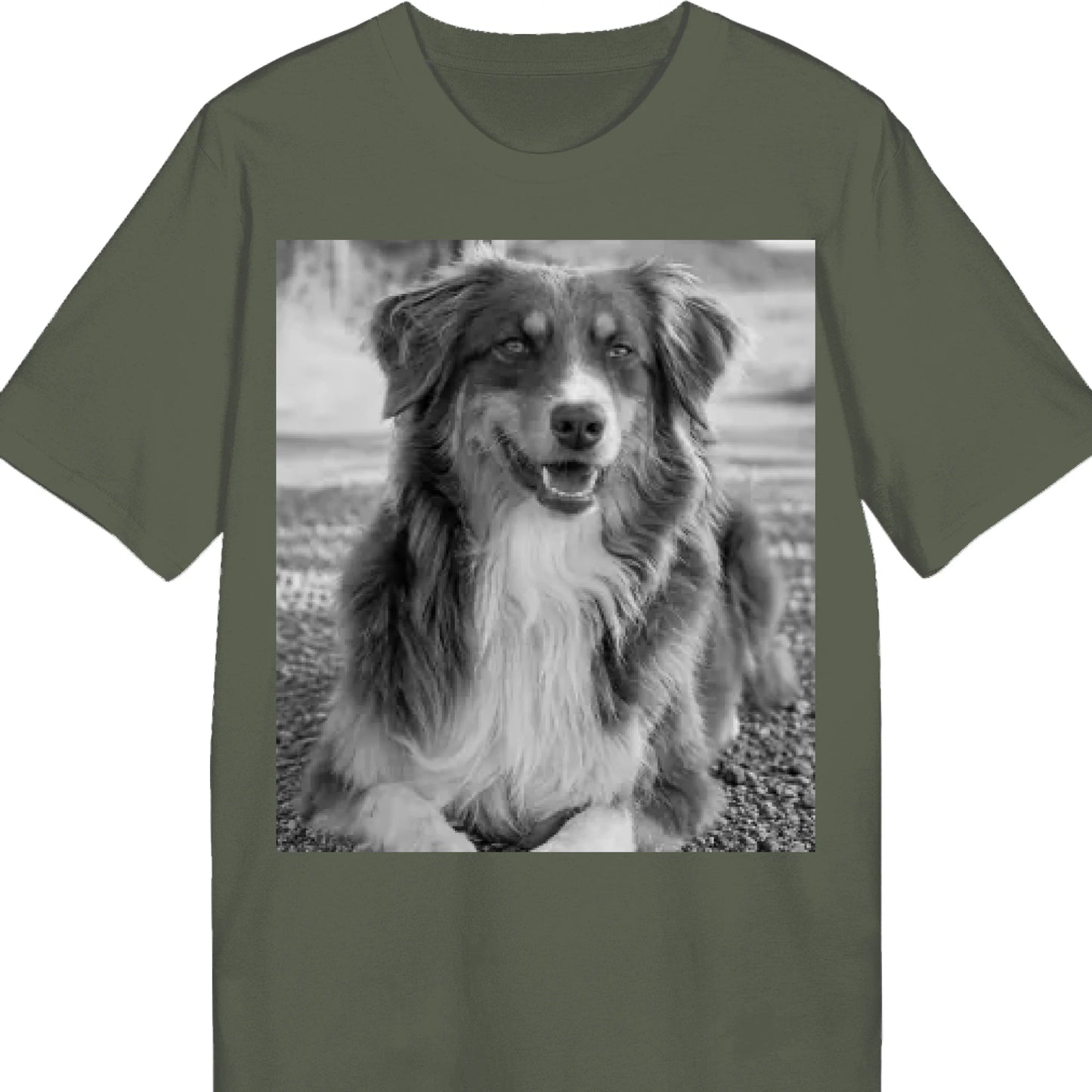 STTU169_Khaki_N